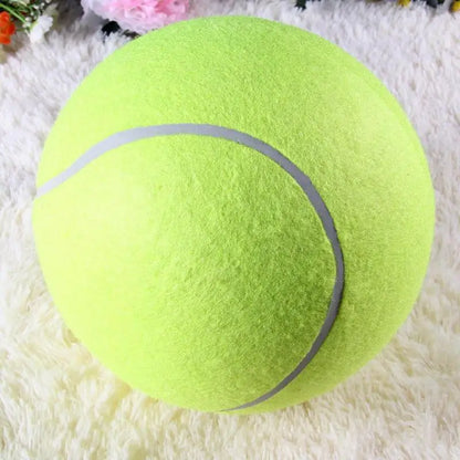 Dog Tennis Ball
