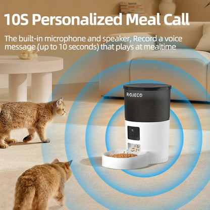 Automatic Cat Feeder With Camera Video