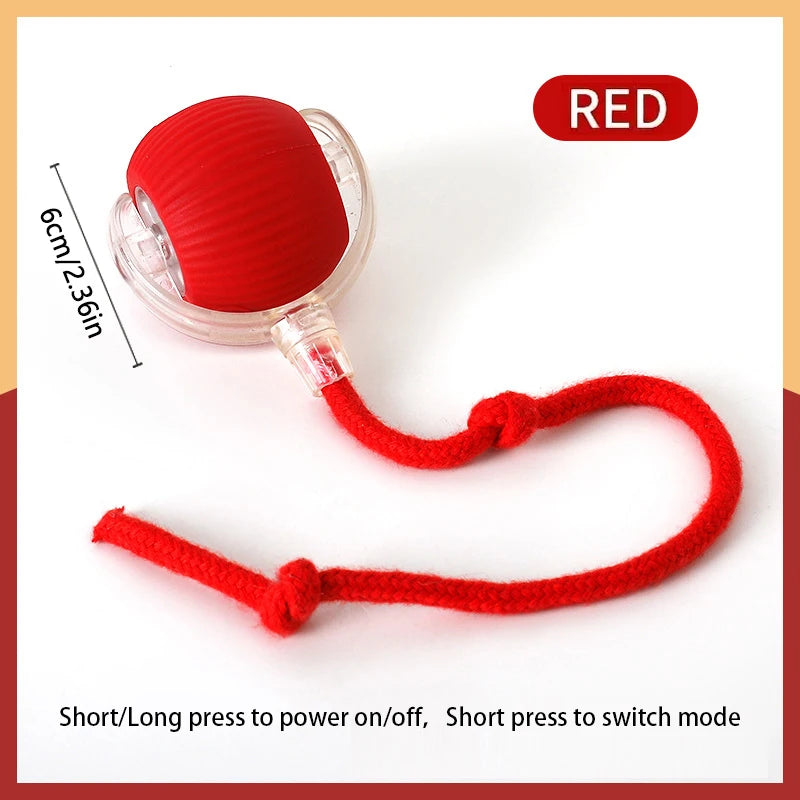 Smart Cat Toys Ball