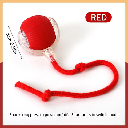 Smart Cat Toys Ball