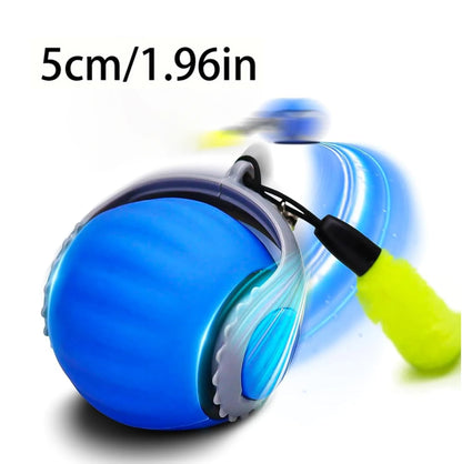 Smart Cat Toys Ball