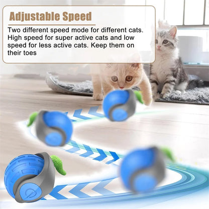 Smart Cat Toys Ball