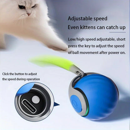 Smart Cat Toys Ball